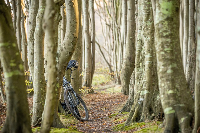 Waarom een e-bike verzekering nodig?